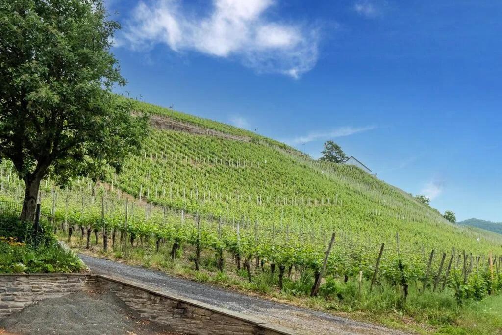 Apartmán Moselblick Kinheim Exteriér fotografie